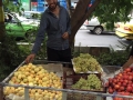 انتشارات او  عکس از ترانه وفایی (15)