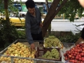 انتشارات او  عکس از ترانه وفایی (48)