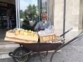 انتشارات او  عکس از ترانه وفایی (49)