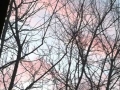 عکسهای ترانه وفایی (3)