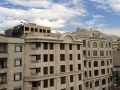 Tarane Vafaee  (11)