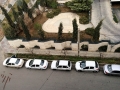 Tarane Vafaee  (45)