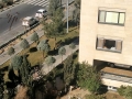 Tarane Vafaee  (46)